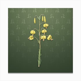 Vintage Lilium Pyrenaicum Botanical on Lunar Green Pattern n.2420 Canvas Print