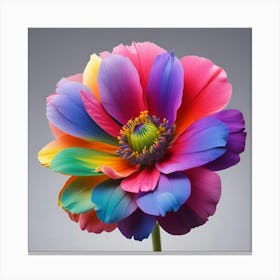 Rainbow Flower 11 Canvas Print