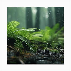 Rain Forest Canvas Print