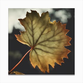 Autumn Leaf 9 Canvas Print