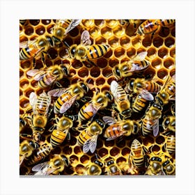 Bees On Honeycomb Canvas Print