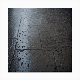 Rainy Day 3 Canvas Print