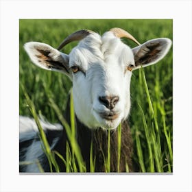 Goat In The Grass 5 Canvas Print