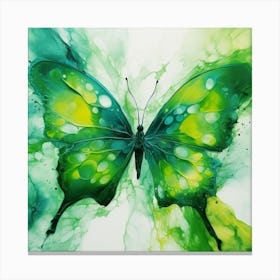 Butterfly 8 Canvas Print