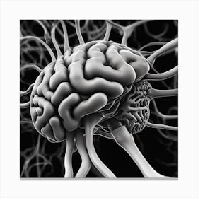 Brain - 3d Illustration 4 Canvas Print