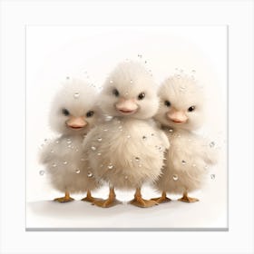 Little Ducks Canvas Print