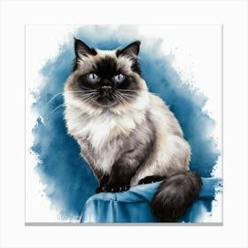 Siamese Cat 1 Canvas Print