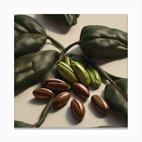 Coffee Beans 286 Canvas Print