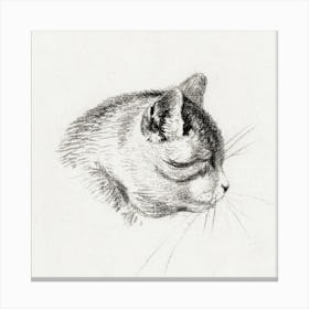 Sketch Of A Cat, Jean Bernard Canvas Print