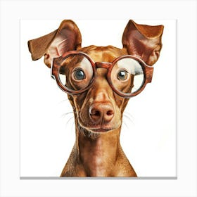 Dachshund Wearing Glasses Leinwandbild