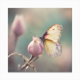 A Close Up Of A Delicate Butterfly Bud Just Beginning To Bloom, With Soft Petals And Hints Of Vibran Canvas Print