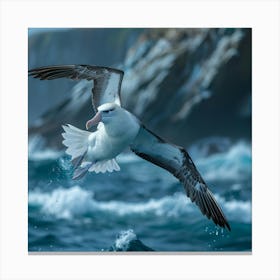 Gannet In Flight Canvas Print