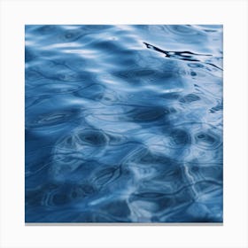 Water Ripples 10 Canvas Print