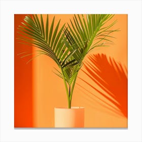 Palm Tree In A Pot Canvas Print