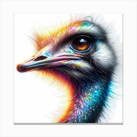 Ostrich Head in Color - Wild Bird Artwork 114 Canvas Print