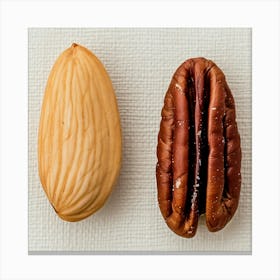 Almonds And Pecans Canvas Print