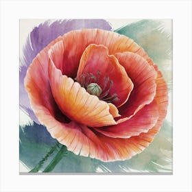 Poppy Canvas Print