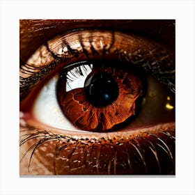 Brown Eye 3 Canvas Print