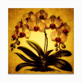 Orchids Canvas Print