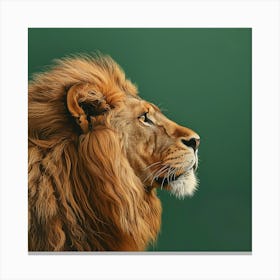 Animal Lion In The Green Room Square Canvas Print