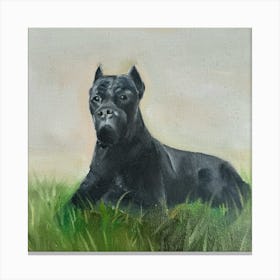 Black Pitbull Painting Canvas Print