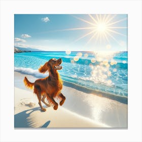 Dog On The Beach Canvas Print