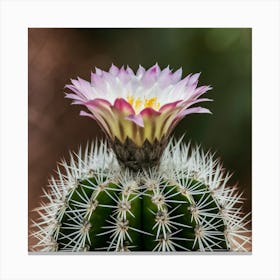 Cactus Flower 8 Canvas Print