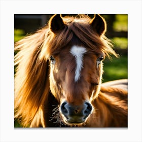 Horsing Around Canvas Print