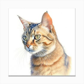 Zambian Cat Portrait 1 Canvas Print