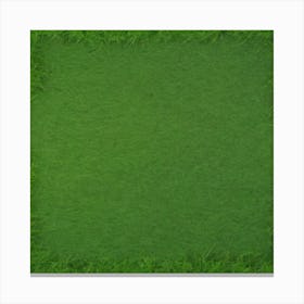 Green Grass Background 16 Canvas Print