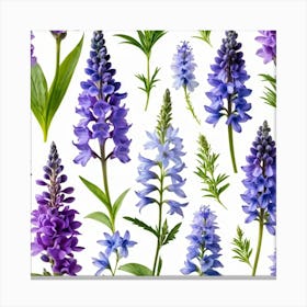 Nature Pattern Isolate White Arrangement Purple Flat Floral Blue Natural Herbal Medicine (10) Canvas Print