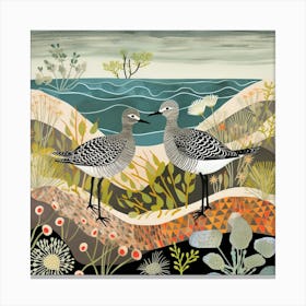 Bird In Nature Grey Plover 4 Canvas Print