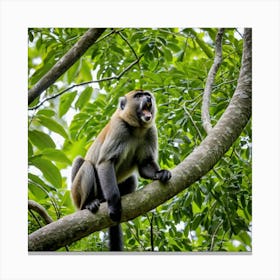 Monkey In A Tree Canvas Print