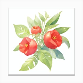 Rosehip Canvas Print