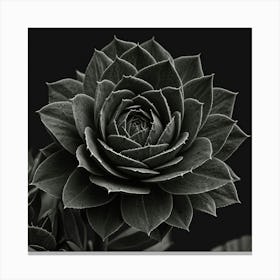 Black And White Flower 1 Canvas Print