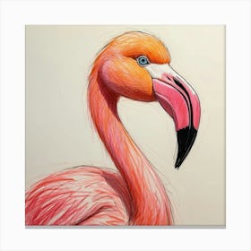 Flamingo 75 Canvas Print