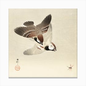 Ring Sparrows And Insect (1900 1936), Ohara Koson Canvas Print