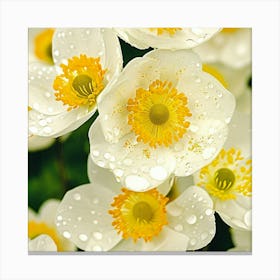 White Anemones 2 Canvas Print