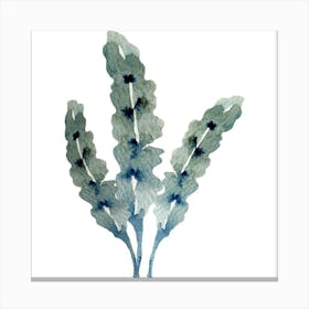 Kelp Canvas Print