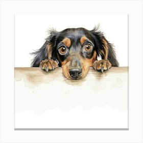 Dachshund 13 Canvas Print