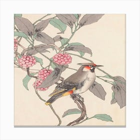 Chinese Woodpecker Canvas Print