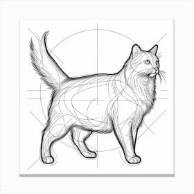 Drawing A Cat Canvas Print