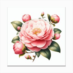 Flower of Camellia Canvas Print