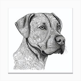 Doberman Pinscher Canvas Print