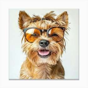 Yorkshire Terrier 27 Canvas Print