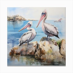 Pelicans By The Sea Canvas Print