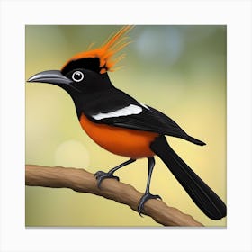 RARE PAPUA GUIENA BIRD Canvas Print