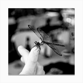 Black And White Dragonfly Canvas Print