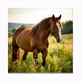 Horse In A Field 10 Canvas Print