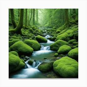 Mossy Forest 12 Canvas Print